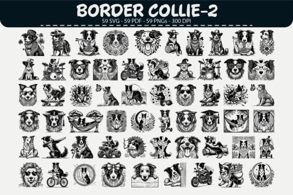 Border Collie Vector Clipart – 59 Design Graphics