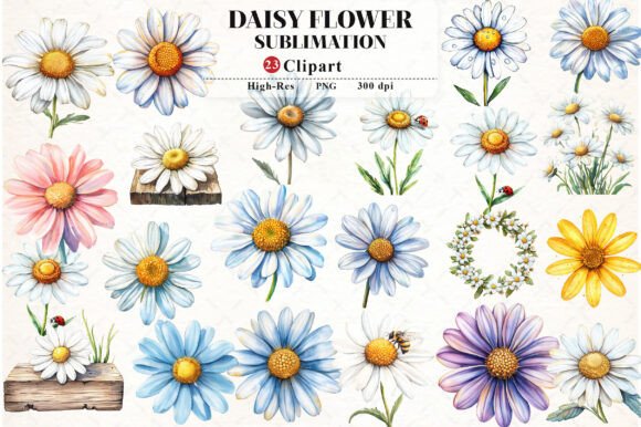 Daisy Flower Watercolor Cliparts for Graphics and Illustrations