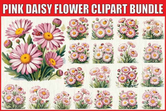 Pink Daisy Flower Clipart Bundle: Graphics for Illustrations